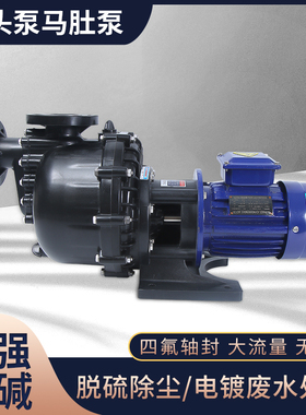 马肚泵塑料化工泵电镀泵耐腐蚀水泵大头泵槽外泵卧式耐酸碱自吸泵