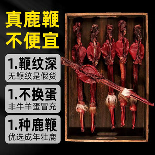 吉林梅花鹿鹿鞭干整根螺纹清晰鹿鞭泡酒鞭毛一体男性滋补膏丸原料