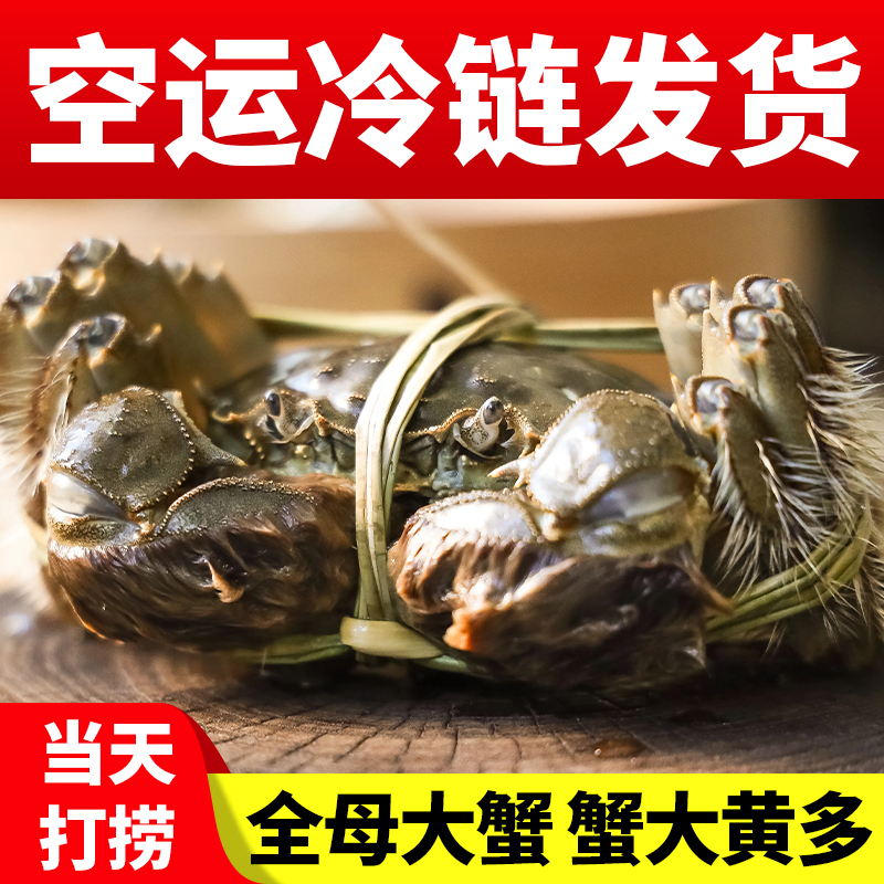 зݴբзʻֱз2.5ĸ8ֻװװ