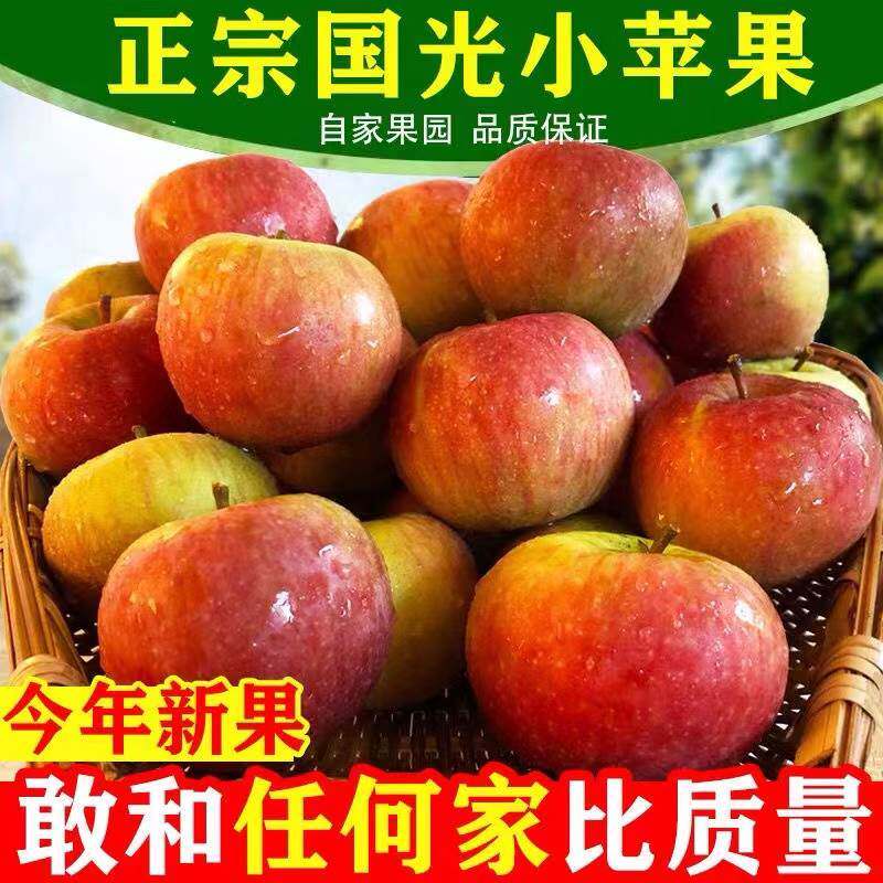 正宗小国光苹果酸甜新鲜小果光苹果烟台小国光东北8斤5图片