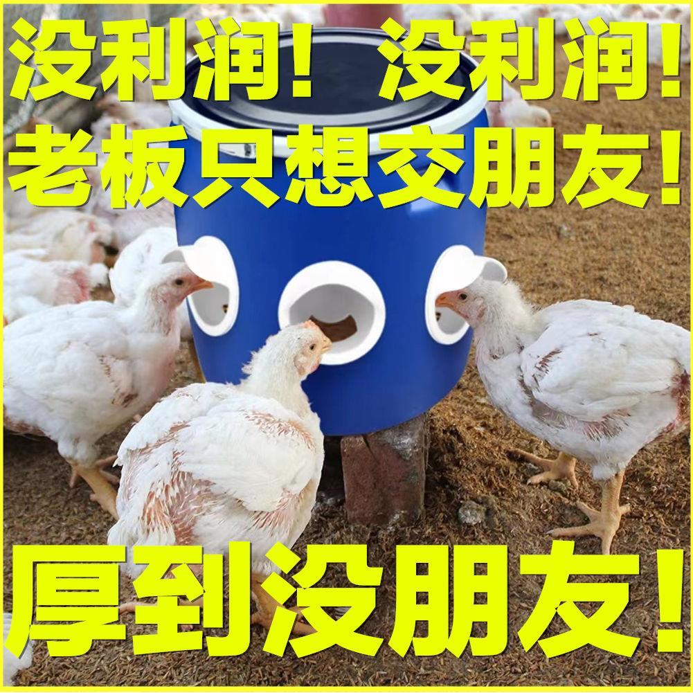 家禽自动喂食器鸡鸭鹅食槽小鸡饲料喝水饮水器养鸡神器喂鸡下料器