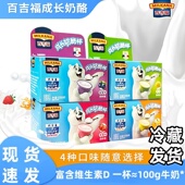 奶酪杯32杯百吉福儿童宝宝高钙奶酪即食营养健康小零食可涂抹成长