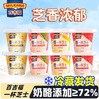 百吉福一杯芝士6杯即食奶酪杯甜品网红芝士杯乳酪儿童营养零食品