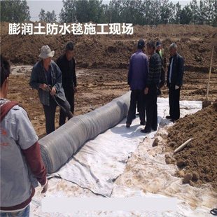 GCL钠基膨润土防水毯3000g4000g5000g膨润土防水毯厂家直销