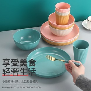 家用竖纹碗盘杯子 跨境亚马逊纯fpp餐具套装 泡面碗菜盘牛奶杯礼