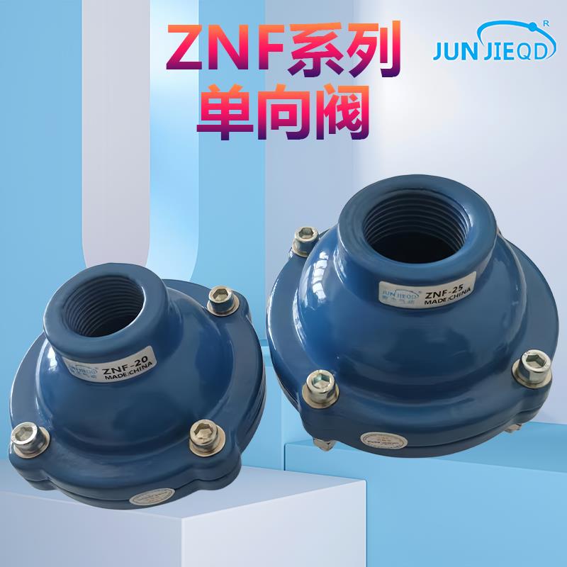 DXF/ZNF-25ZNF-40克莱德纽普兰型电厂除灰补气单向阀止回阀逆止阀
