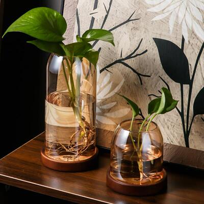 覆古玻璃小花瓶家用客厅电视柜水培器皿摆件办公室桌面黄金葛花盆