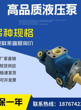 美国威格士双联叶片泵V2010 1F7S4S 1BD12水利机械泵发动机制造泵