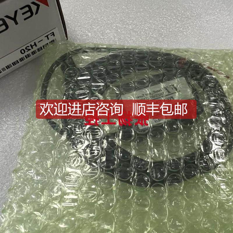 /FT-H20 FT-H10 FT-H50  FT-H50K 温度传器实询价