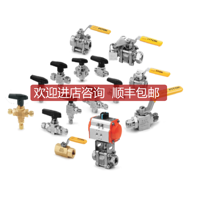FIT飞托克球阀BGSS-PS8-15   fitok接头阀门询价