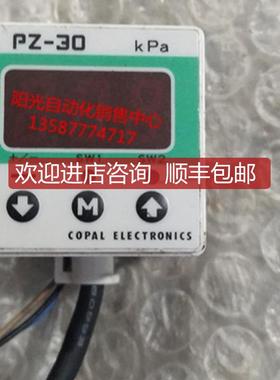 A023科宝COPAL压力开关传器PZ-30-NVSTI询价