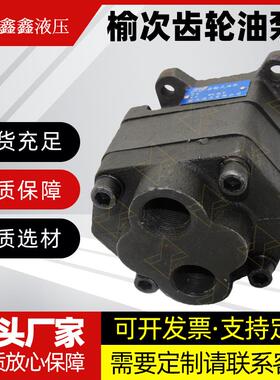 榆次液压齿轮油泵CB-FC10/16/20/25/31.5/40-FL油压泵 液压齿轮泵