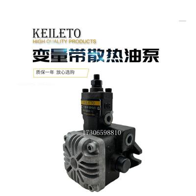 带冷却叶片泵VDP-SF-15CA/S VDF-20D VDM30 40 12 08液压泵油泵