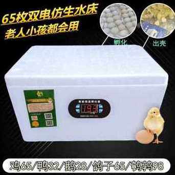 现货厂销新厂销新品水床孵化机家用型鸡鸭鹅v孵化器BE46枚小型0枚