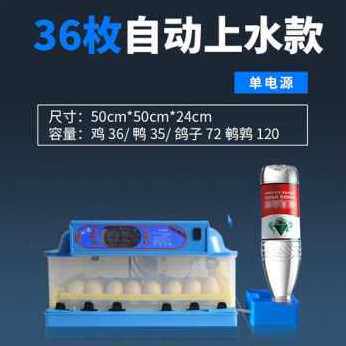 现货厂促爆品鸡蛋孵蛋器d自动鸟鸡p孵化机迷智你能孵化机小型家用
