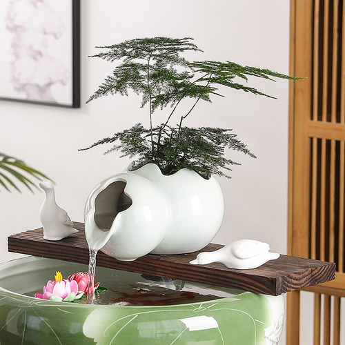 循环庭院陶罐室内造景生态