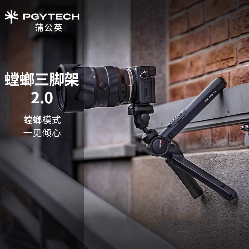 蒲公英官方正品顺丰发货假一罚十