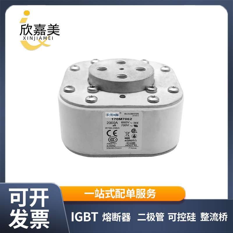 170M7062 170M7063 快速熔断器  保险丝 电子元器件 量大价优