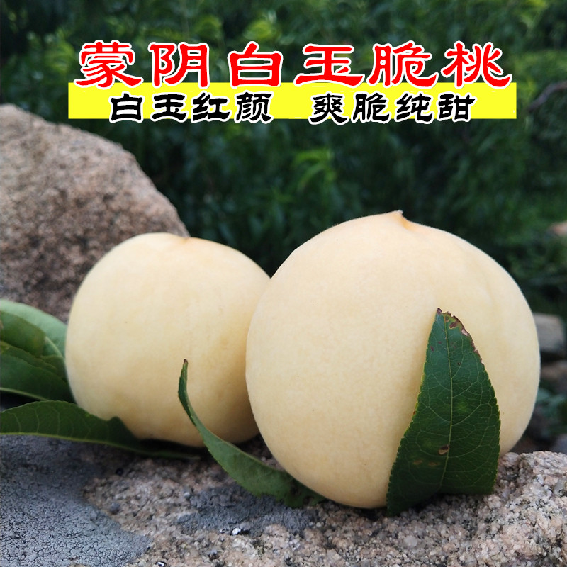 应季新鲜水果山东蒙阴蜜桃白桃纯桃