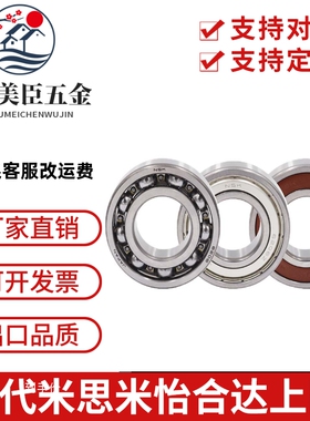 NSK日本进口深沟球轴承16100 16101 16001 16002 16003 16004ZZ