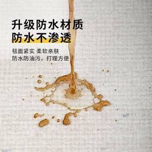 卧室防水床边免洗可擦房间免打理沙发家用地垫子 地毯客厅新款