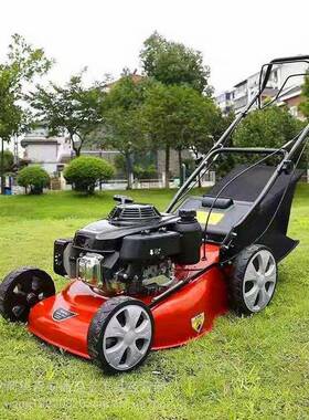 20寸坪自式剪草机手推汽油草割草AL-65539机草地绿坪化园林打走草