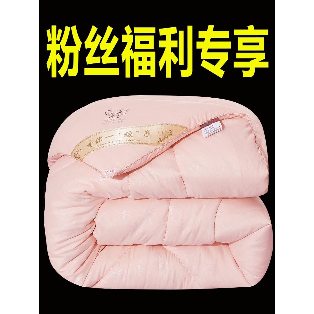 12斤被太子冬被加PDI厚保暖0斤冬季空被双人丝棉被1芯春蚕秋防螨