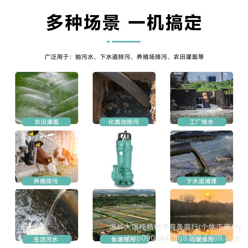 界污水MKT)泵WQ(D-L型排污水粪池泥浆农田灌溉污水污物潜新泵潜污