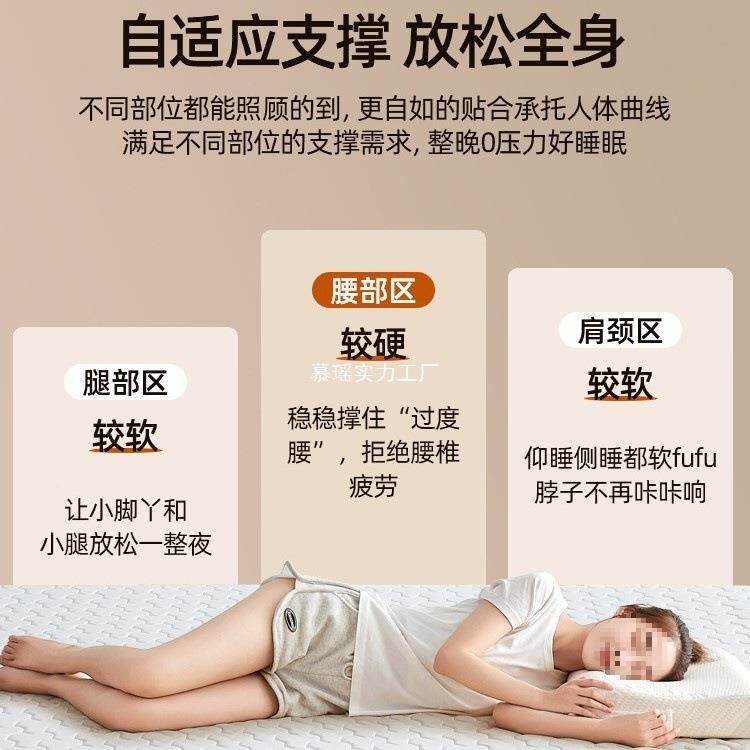 记忆棉床垫海家软无品牌/用垫卧室榻褥榻米薄款学生宿舍单人租房