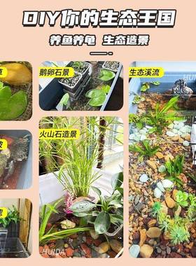 厚乌龟PDD74700专用转箱长加方形周超大号物流箱箱猫砂盆塑料生态