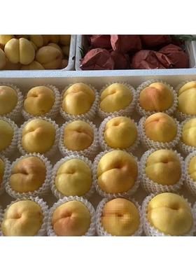 mHF4k6eR葡萄水枇杷泡沫托盘草莓黄箱桃泡沫果箱托盘泡沫蜜桃芒果