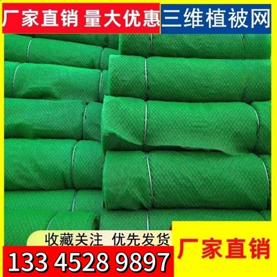 护坡绿化防固土植被网源头工厂