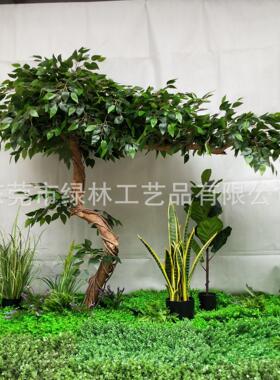 厂家直销仿真黄桷树榕树仿真真木杆榕树园林景观异型假树室内装饰