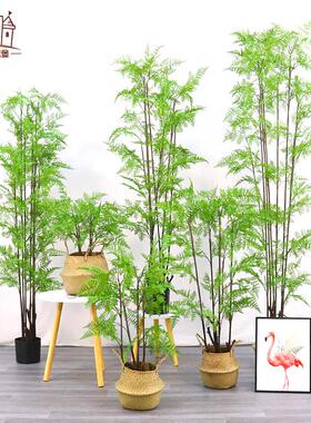 北欧ins风格仿真植物 马尾蕨家居装饰假绿植室内摆件盆景仿真盆栽
