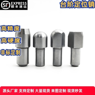 P10 D10 YBP01 定位销台阶销大头锥销YBR01