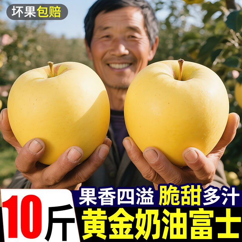 烟台黄金奶油富士苹果10斤山东新鲜水果牛奶特大果白色冰糖心整箱