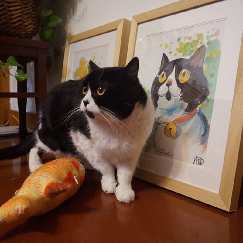 泡面三包面小卖部 宠物画像定制 价格参见商品详情 成品包邮含装