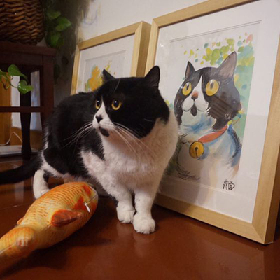 三包面小卖部宠物画像手稿定制