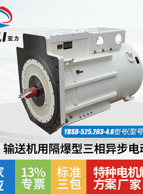 厂家直供输送机用电机YBSD-525.263-4.8隔爆型三相异步电动机