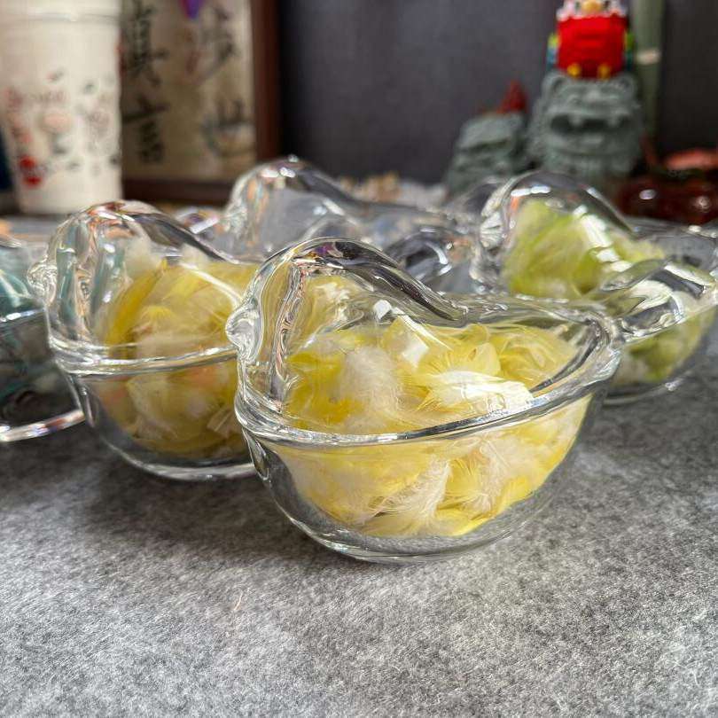 鹦鹉羽毛收纳盒纪念瓶相框宠物用品养鸟储存罐收藏收集器牡丹存放,鲜花速递/花卉仿真/绿植园艺,仿真果蔬,淘宝优惠券,粉丝福利购,淘宝优惠卷