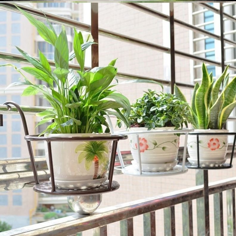 铜钱草器架植固水培植物根定篮铁艺水草鱼缸多肉盆挂钩造景