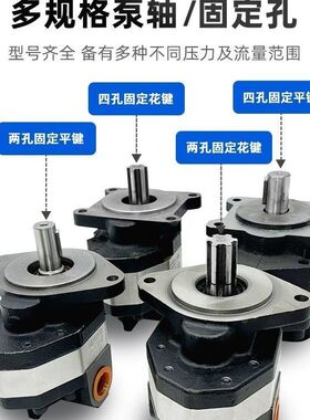 厂家配套CBFC10/16/18/25/3240/50/63/80齿轮泵装载机铲车油泵