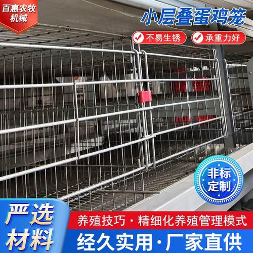 小层叠蛋鸡笼养鸡设备立体式阶梯式蛋鸡笼好管理备育雏笼推荐