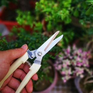 修枝果树修剪树枝园艺剪枝剪刀花艺工具修花粗枝园林家用大力剪子