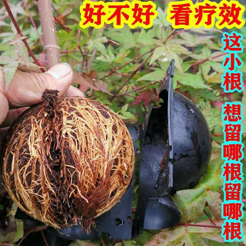 果树植物高压盒生根繁殖扦插嫁接杯园林环剥剪生根神器育苗生根土