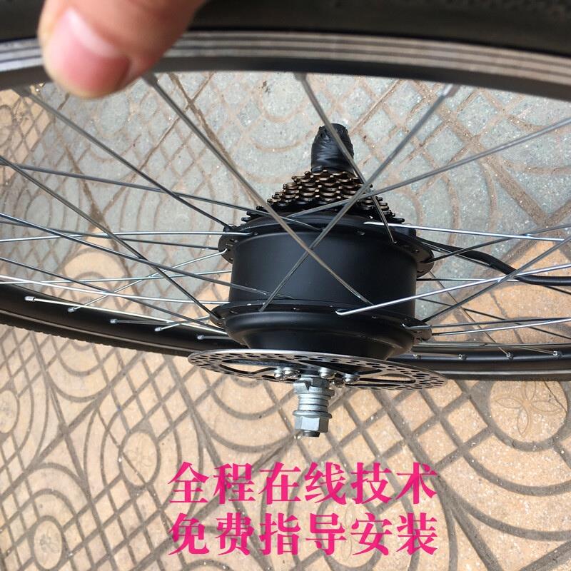 无刷有齒純銅電機 碟剎後驅卡飛輪組變速驅動电机