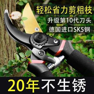 德国进口剪树枝专用剪刀园林果树修枝剪sk5剪子艺园剪刀修花家用