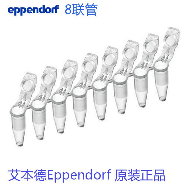 艾本德Eppendorf0.2mlPCR管8排管货号：0030124359