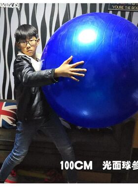 儿童感统训练大龙球95\100CM\120CM\1米大号幼儿早教球健身球