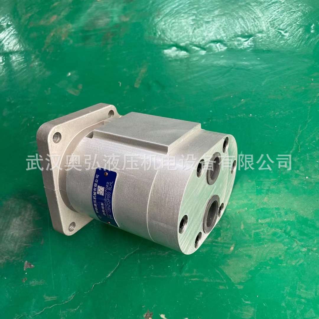 CBNZQ-F550-BLHL合肥长源齿轮泵后进后出油口，液压站，油缸，